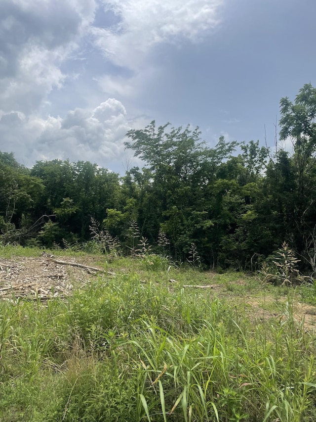 114 Fairview Ave, Cornersville, TN 37047