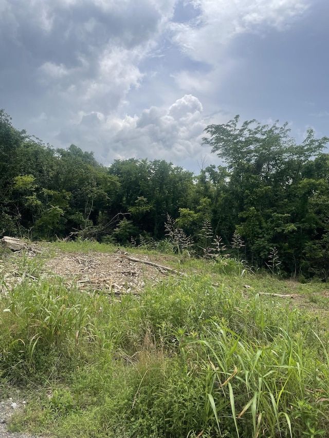 116 Fairview Ave, Cornersville, TN 37047