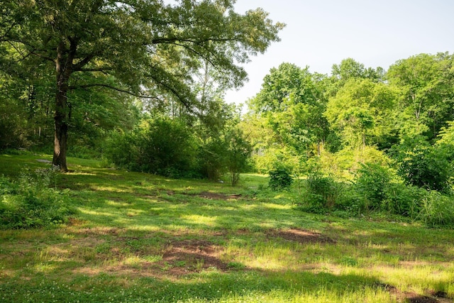 7703 Horn Tavern Rd, Fairview, TN 37062 - view of tree filled area