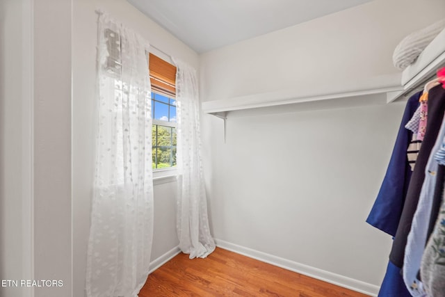 420 Kendall Rd, Knoxville, TN 37919 - photo 31