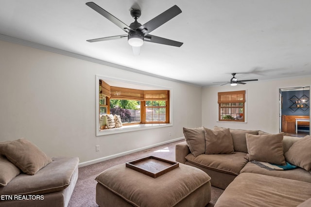 420 Kendall Rd, Knoxville, TN 37919 - photo 22