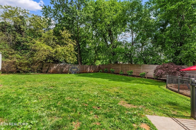 420 Kendall Rd, Knoxville, TN 37919 - photo 46