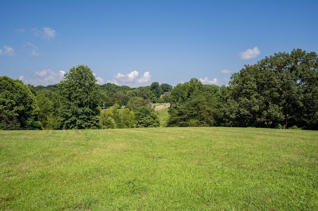 872 Pinnacle Hill Rd, Kingston Springs, TN 37082 - view of grassy yard with a view of trees and a rural view