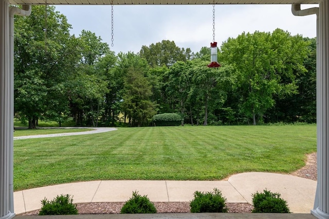 300 N Happy Hollow Rd, Portland, TN 37148 - photo 34