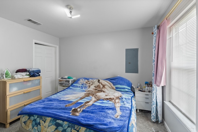 4145 Providence Park Ln, Nashville, TN 37211 - bedroom featuring electric panel and carpet flooring