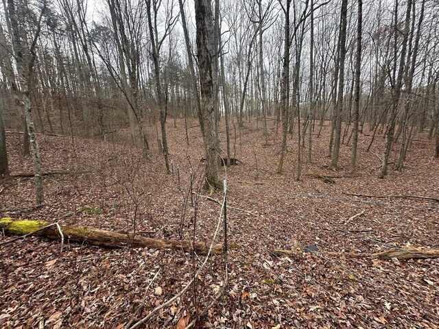 12062 Browns Hollow Rd, Tracy City, TN 37387 - photo 16