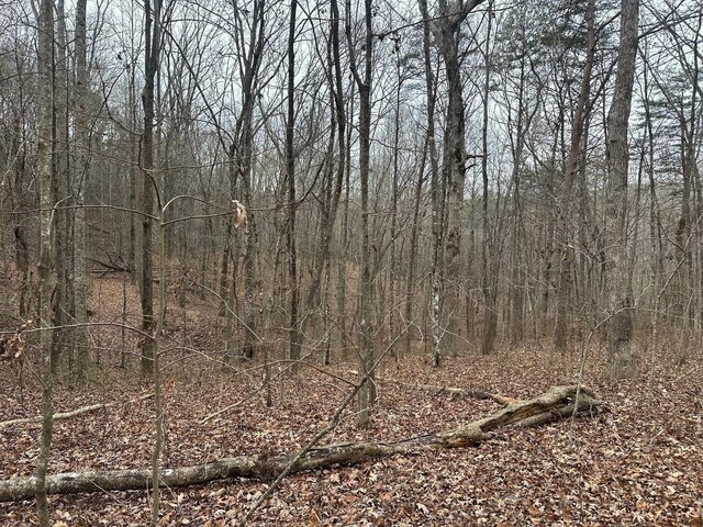 12062 Browns Hollow Rd, Tracy City, TN 37387 - photo 14