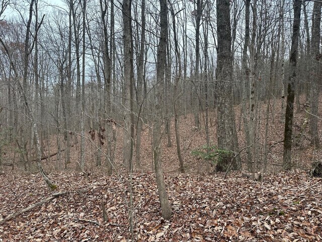 12062 Browns Hollow Rd, Tracy City, TN 37387 - photo 13