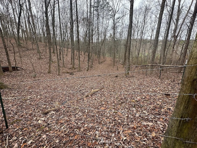 12062 Browns Hollow Rd, Tracy City, TN 37387 - photo 1