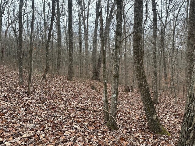 12062 Browns Hollow Rd, Tracy City, TN 37387 - photo 12