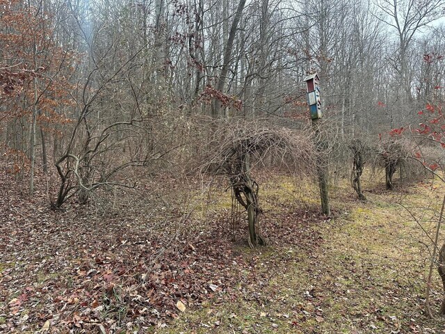 12062 Browns Hollow Rd, Tracy City, TN 37387 - photo 15