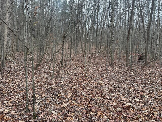 12062 Browns Hollow Rd, Tracy City, TN 37387 - photo 10