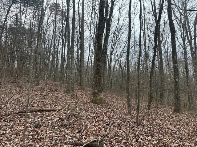 12062 Browns Hollow Rd, Tracy City, TN 37387 - photo 11