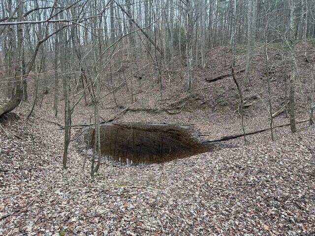 12062 Browns Hollow Rd, Tracy City, TN 37387 - photo 5