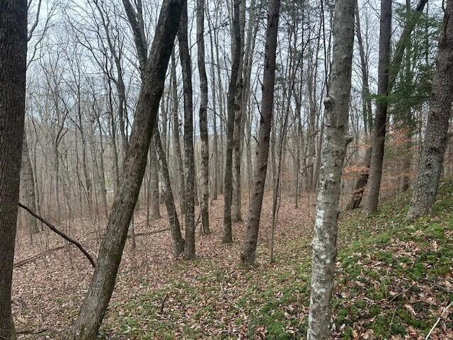 12062 Browns Hollow Rd, Tracy City, TN 37387 - photo 3