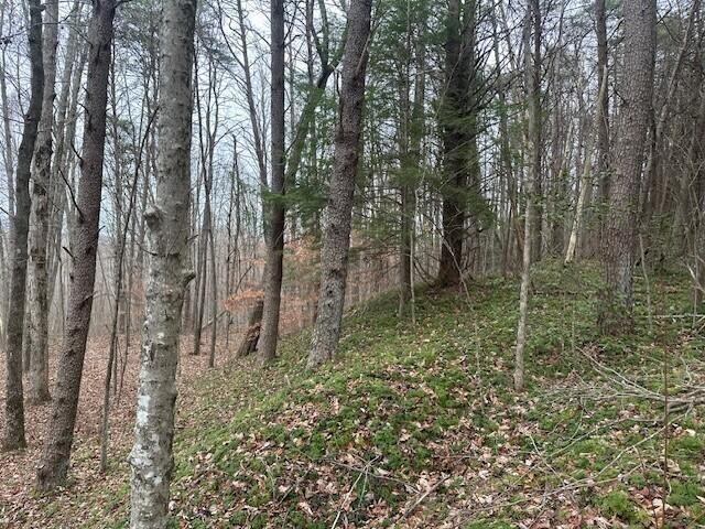 12062 Browns Hollow Rd, Tracy City, TN 37387 - photo 4