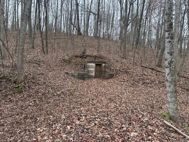 12062 Browns Hollow Rd, Tracy City, TN 37387 - photo 7
