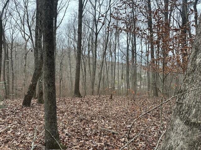12062 Browns Hollow Rd, Tracy City, TN 37387 - photo 9