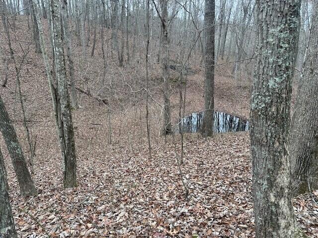 12062 Browns Hollow Rd, Tracy City, TN 37387 - photo 8