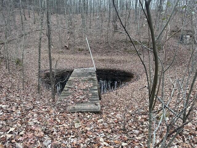 12062 Browns Hollow Rd, Tracy City, TN 37387 - photo 6