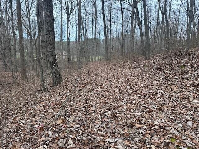 12062 Browns Hollow Rd, Tracy City, TN 37387 - photo 2