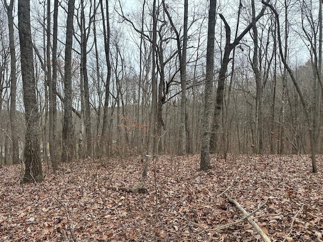 12062 Browns Hollow Rd, Tracy City, TN 37387 - photo 17