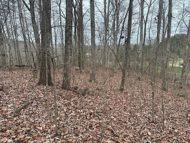 12062 Browns Hollow Rd, Tracy City, TN 37387 - photo 18