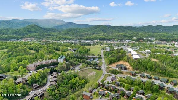 830 Golf View Blvd Unit 3106, Pigeon Forge, TN 37863 - photo 37