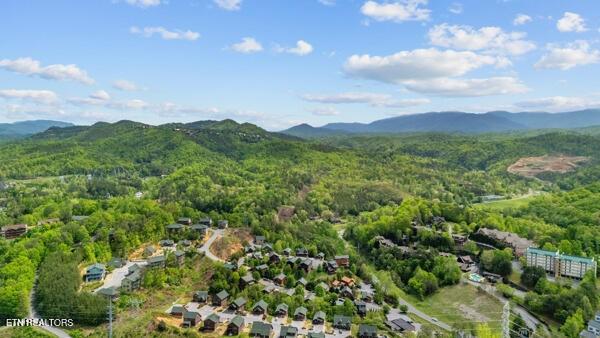 830 Golf View Blvd Unit 3106, Pigeon Forge, TN 37863 - photo 36