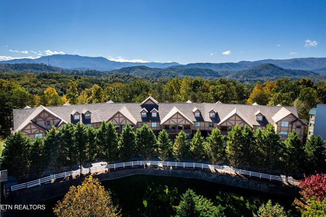 830 Golf View Blvd Unit 3106, Pigeon Forge, TN 37863 - photo 4