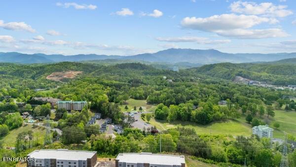 830 Golf View Blvd Unit 3106, Pigeon Forge, TN 37863 - photo 31