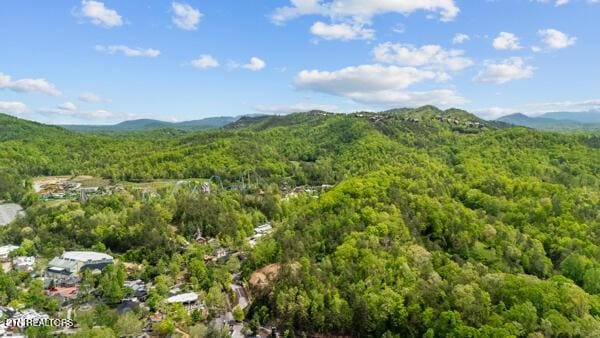 830 Golf View Blvd Unit 3106, Pigeon Forge, TN 37863 - photo 34