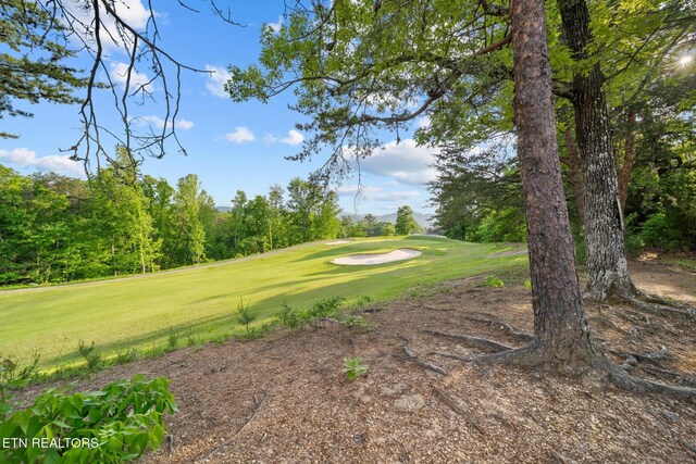 830 Golf View Blvd Unit 3106, Pigeon Forge, TN 37863 - photo 28