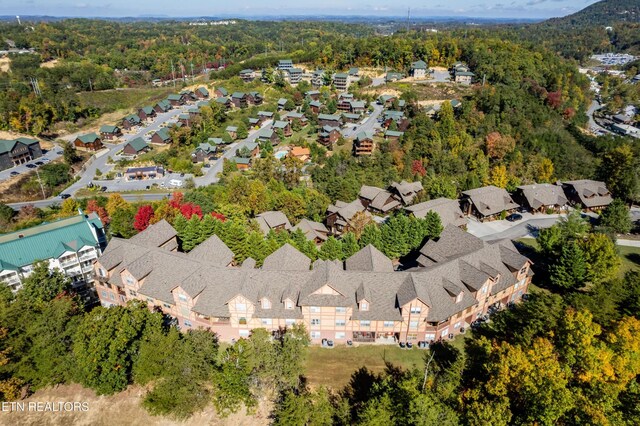 830 Golf View Blvd Unit 3106, Pigeon Forge, TN 37863 - photo 5