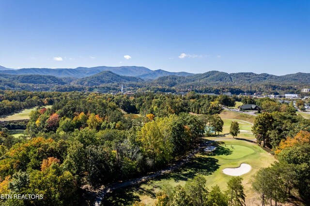 830 Golf View Blvd Unit 3106, Pigeon Forge, TN 37863 - photo 30