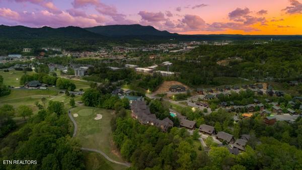 830 Golf View Blvd Unit 3106, Pigeon Forge, TN 37863 - photo 39