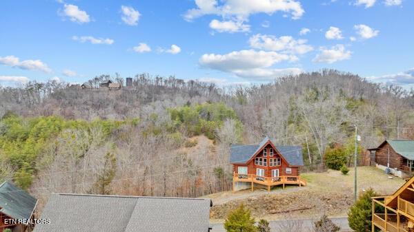 2322 Wingspan Dr, Sevierville, TN 37876 - photo 3