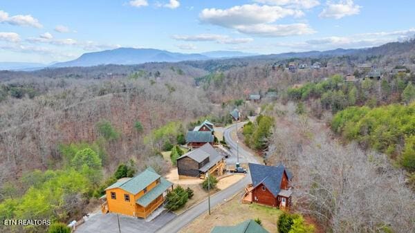 2322 Wingspan Dr, Sevierville, TN 37876 - photo 33