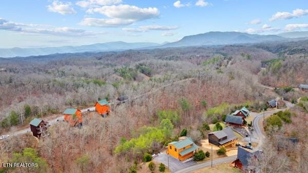 2322 Wingspan Dr, Sevierville, TN 37876 - photo 34