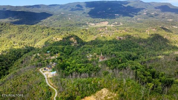 0 Crown Cir, Sevierville, TN 37862 - photo 15