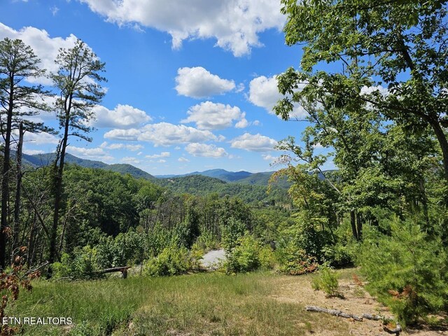 0 Crown Cir, Sevierville, TN 37862 - photo 11
