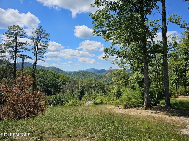 0 Crown Cir, Sevierville, TN 37862 - photo 7