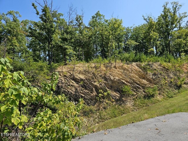 0 Crown Cir, Sevierville, TN 37862 - photo 12