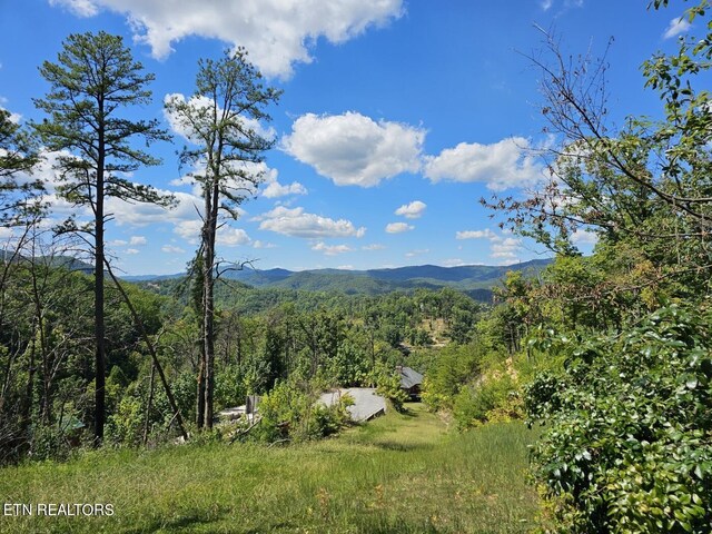 0 Crown Cir, Sevierville, TN 37862 - photo 10