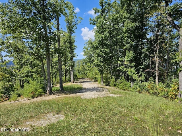 0 Crown Cir, Sevierville, TN 37862 - photo 6