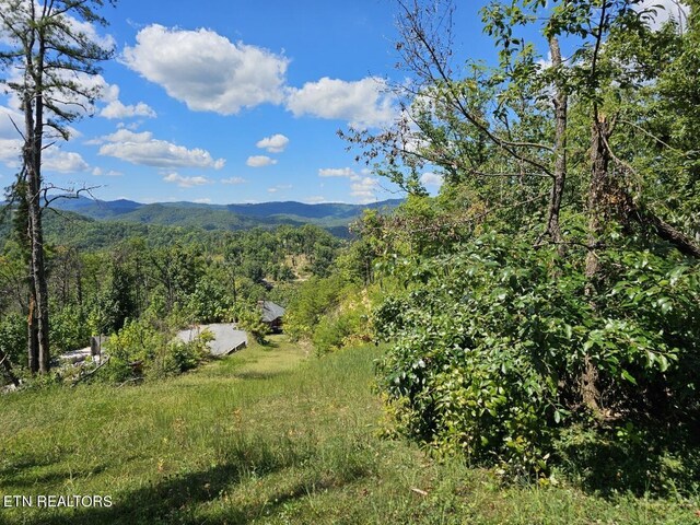 0 Crown Cir, Sevierville, TN 37862 - photo 9