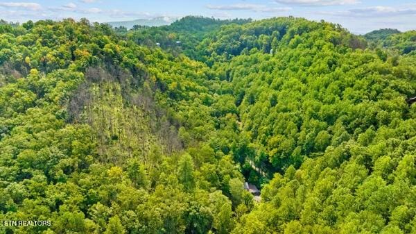 3127 Emerald Springs Loop, Sevierville, TN 37862 - drone / aerial view of a forest