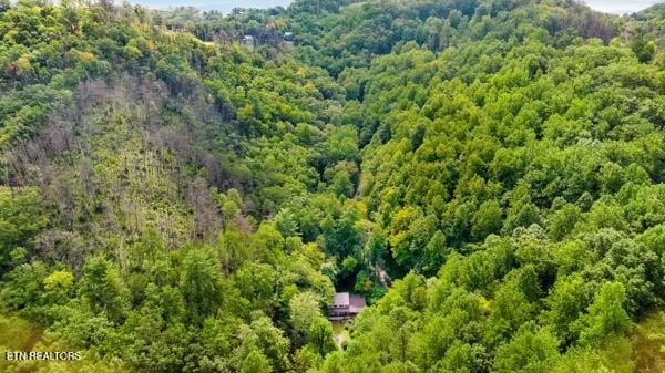 3127 Emerald Springs Loop, Sevierville, TN 37862 - drone / aerial view of a forest