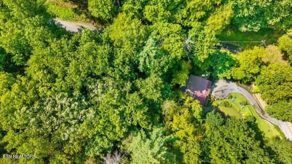 3127 Emerald Springs Loop, Sevierville, TN 37862 - aerial view