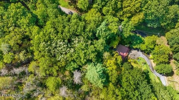 3127 Emerald Springs Loop, Sevierville, TN 37862 - aerial view